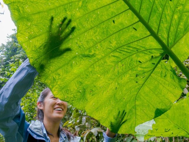 Climate Change: Environmental Justice and Climate Resilience in Ecuador