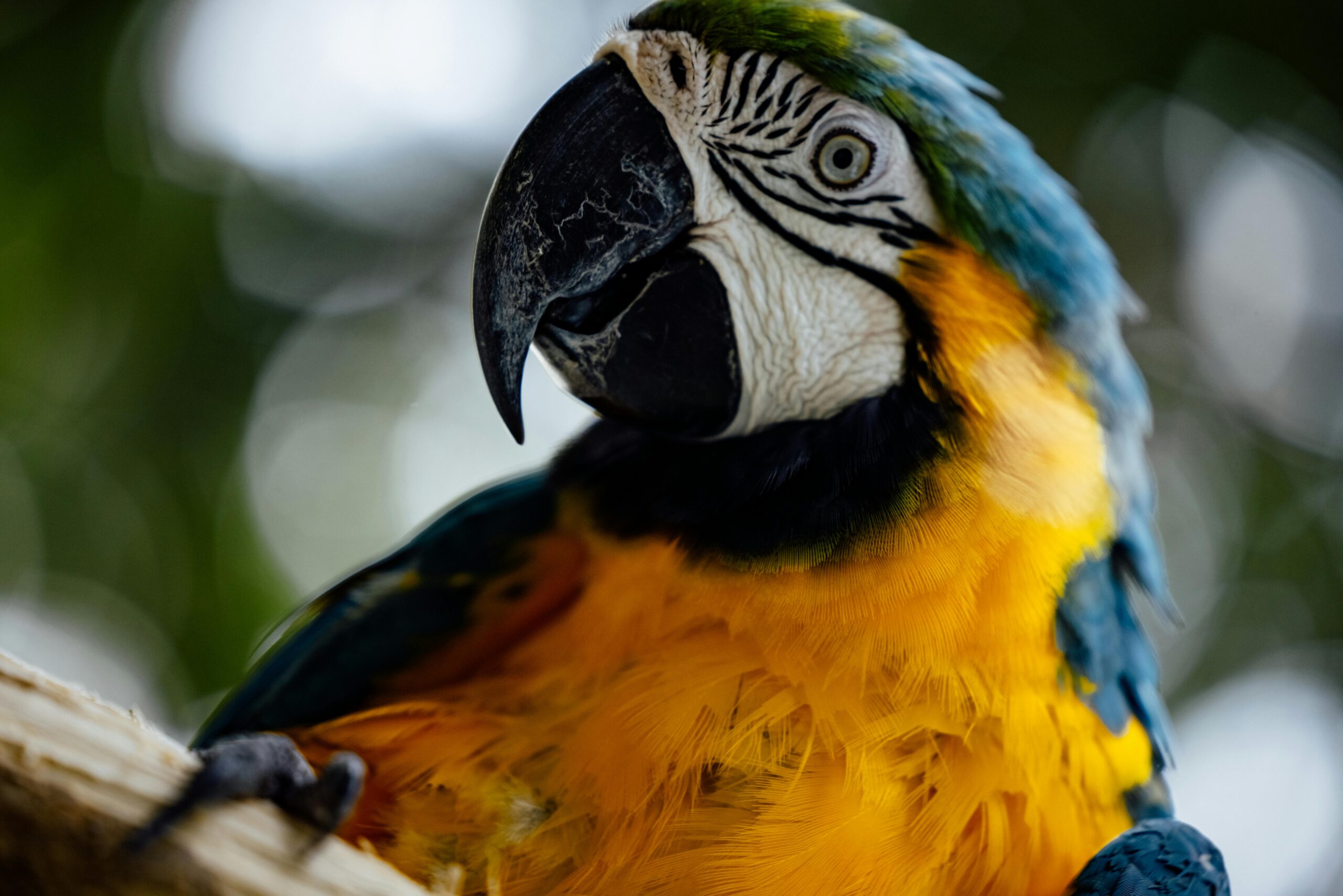 https://balanceworks.ec/wp-content/uploads/2025/04/pexels-roman-odintsov-12715266-scaled.jpg